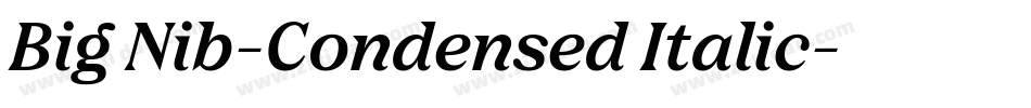 Big Nib-Condensed Italic字体转换